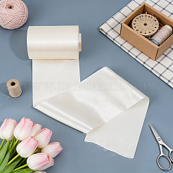 Polyester Ribbon&nbsp;OCOR-WH0082-567B