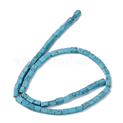 Synthetic Turquoise Beads Strands&nbsp;G-C135-F03-01