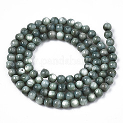 Natural Freshwater Shell Beads Strands&nbsp;X-SHEL-N003-24-B01