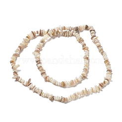 天然淡水シェルビーズ連売り  チップ  古いレース  1~8x5~17x5~8mm  穴：0.9~1mm  30.31~31.50''（77~80センチメートル）&nbsp;G-M205-85B