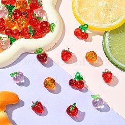 30個5スタイルアクリルパーツ  模造3dフルーツ樹脂付き  混合図形  ミックスカラー  16.5~21.5x13.5~19.5x10.5~15mm  穴：1.6~2mm  6個/スタイル&nbsp;MACR-CJ0002-11