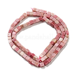 Natural Rhodonite Beads Strands&nbsp;G-C129-A14-01