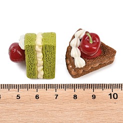 Opaque Resin Imitation Food Cabochons&nbsp;RESI-L051-06