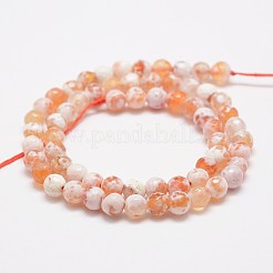 Faceted Natural Fire Crackle Agate Beads Strands&nbsp;G-F447-6mm-B03