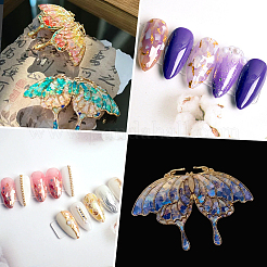 1 Set 12 Colors Shell Slices&nbsp;MRMJ-SP0001-05B