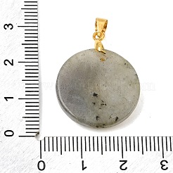 天然石ラブラドライトペンダント  真鍮製のパヴェキュービックジルコニア金具を使用したコインチャーム  ゴールドカラー  27x21x5mm  穴：4x3.5mm&nbsp;GG-CBA260E-03G-14