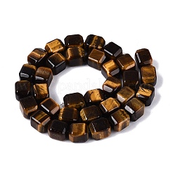 Natural Tiger Eye Beads Strands&nbsp;G-Q608-10E
