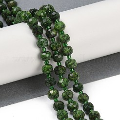 Natural Sesame Jasper Dyed Beads Strands&nbsp;G-H057-A21-07