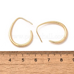 Brass Dangle Earrings&nbsp;X-KK-T056-110G-NF