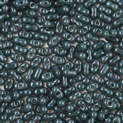 Baking Paint Glass Seed Beads&nbsp;SEED-L011-09A-23-1