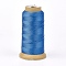 Polyester Thread, for Custom Woven Jewelry Making, Dodger Blue, 0.25mm, about 700m/roll