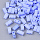 2-Hole Baking Paint Glass Seed Beads&nbsp;SEED-S023-17B-30-1