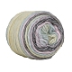Polyester Yarn&nbsp;PW-WGAC9D7-15-1