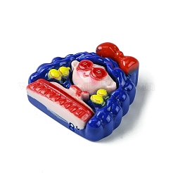 Opaque Resin Decoden Cabochons&nbsp;RESI-C045-01E
