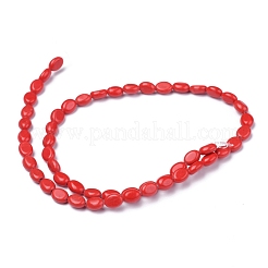 Synthetic Turquoise Bead Strands&nbsp;G-Z006-A36