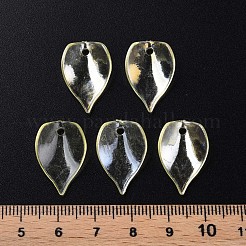 Transparent Acrylic Beads&nbsp;MACR-S373-103-C01