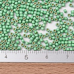 MIYUKI Delica Beads&nbsp;SEED-J020-DB1844F