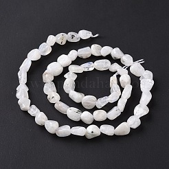 天然レインボー ムーンストーン ビーズ 連売り  ナゲット  6~10.5x6~7.5x4~5mm  穴：0.8mm  約50~55個/連  15.94''（40.5センチメートル）&nbsp;G-A208-12