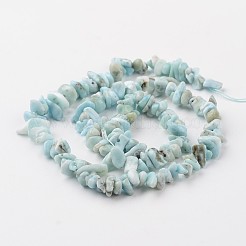 Chip Natural Larimar Bead Strands&nbsp;G-M349-09