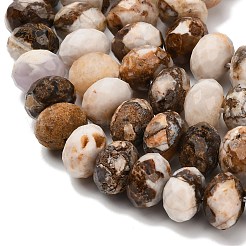 Natural Petrified Wood Beads Strands&nbsp;G-C259-A06-8x12mm-02