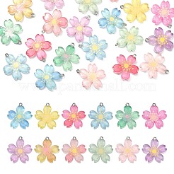24Pcs 12 Colors Translucent Resin Pendants&nbsp;RESI-CJ0002-50