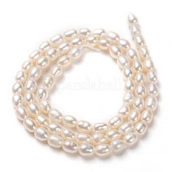 天然養殖淡水パールビーズ連売り  ライス  ホワイト  5x4mm  穴：0.5mm  約70個/連  14.57インチ（37cm）&nbsp;PEAR-L033-59