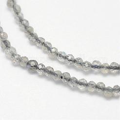 天然石ラブラドライトビーズ連売り  多面カット  ラウンド  2mm  穴：0.5mm  約170~180個/連  12.9~13.3インチ（330~340mm）&nbsp;G-G936-2mm-18