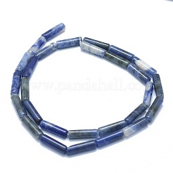 天然石ソーダライトビーズ連売り  コラム  11~15x3.5~4.5mm  穴：1~1.2mm  約28~30個/連  15.1~15.9インチ（38.5~40.5cm）&nbsp;G-F631-D16