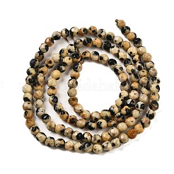 Natural Dalmatian Jasper Beads Strands&nbsp;G-Z068-B07-01