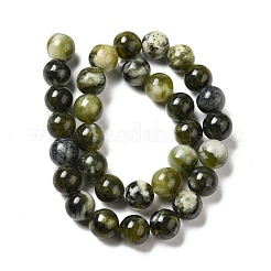 Natural Xiuyu Jade Beads Strands&nbsp;G-H298-A08-05