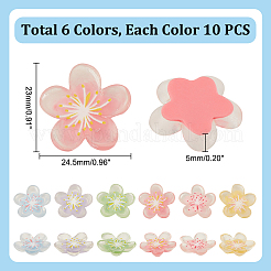 60Pcs 6 Colors Translucent Resin Decoden Cabochons&nbsp;RESI-GA0001-31