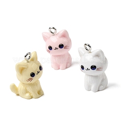 Opaque Resin Pendants&nbsp;X-RESI-F065-02