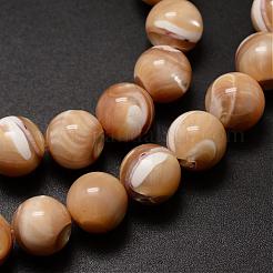 Natural Sea Shell Beads Strands&nbsp;SSHEL-K013-10mm-B