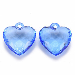 Transparent Acrylic Pendants&nbsp;TACR-T024-03B-940