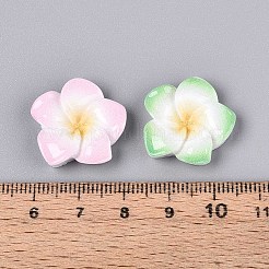 Plumeria Flower Opaque Resin Cabochons&nbsp;CRES-T025-30M-02