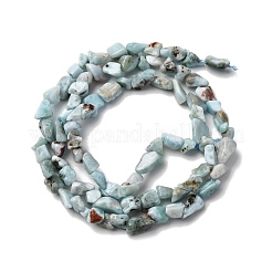 Natural Larimar Beads Strands&nbsp;G-I389-A18