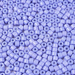 Opaque Baking Paint Glass Seed Beads&nbsp;SEED-T008-02R