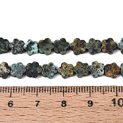 Natural African Turquoise(Jasper) Beads Strands&nbsp;LS-G-N257-24A-05
