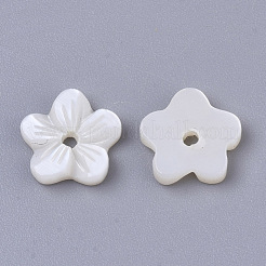 Natural Freshwater Shell Beads&nbsp;SHEL-T017-04
