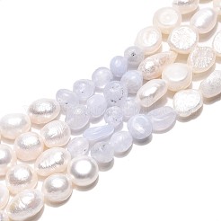 天然ブルーレースアゲートナゲットと天然養殖淡水真珠ビーズ連売り  5.5~12x4.5~9x3.5~9mm  穴：0.8mm  パール：6~13x6~9x3.5~7.5mm  穴：0.6mm  約19~21個/連  6.30~6.69インチ（16~17cm）&nbsp;PEAR-N023-01A-04