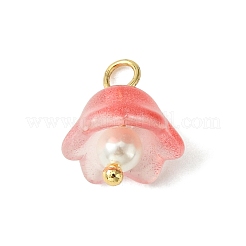 Transparent Spray Painted Glass Charms&nbsp;PALLOY-TA00091
