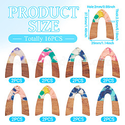 16Pcs 8 Colors Resin and Walnut Pendants&nbsp;FIND-TA0006-36B