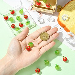 20個 2スタイルの手作りランプワークとアクリルパーツ  りんご  鉄パーツ  ミックスカラー  17.6mm  穴：3.6mm  10個/スタイル&nbsp;PALLOY-CJ00178