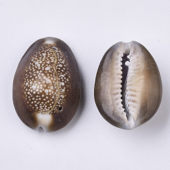 天然のカウリーシェルリンクコネクター  ココナッツブラウン  26~36x17~27x12~17mm  穴：1.4mm  約70個/500g&nbsp;SSHEL-N034-25