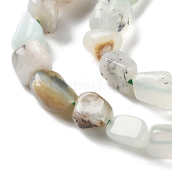 Natural Opal Beads Strands&nbsp;G-P497-01C-09