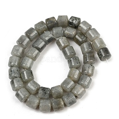 Natural Labradorite Beads Strands&nbsp;G-G275-D10-10x10mm