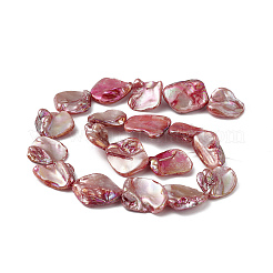 AB Color Plated Natural Freshwater Shell Beads Strands&nbsp;BSHE-G033-03A