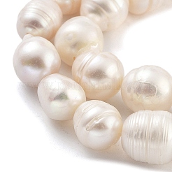 Natural Cultured Freshwater Pearl Beads Strands&nbsp;PEAR-P062-23