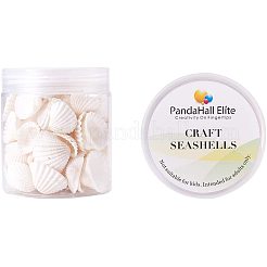 Shell Beads&nbsp;BSHE-PH0003-15