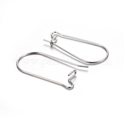 Tarnish Resistant 304 Stainless Steel Hoop Earring Findings&nbsp;LS-STAS-P223-01P-04